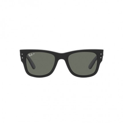 Ray-Ban  RB0840S