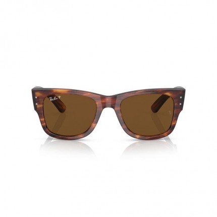 Ray-Ban  RB0840S